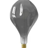 Trendhopper Lichtbron Organic Evo Titanium E27^ Lichtbronnen