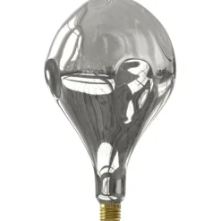 Trendhopper Lichtbron Organic Evo Zilver E27^ Lichtbronnen